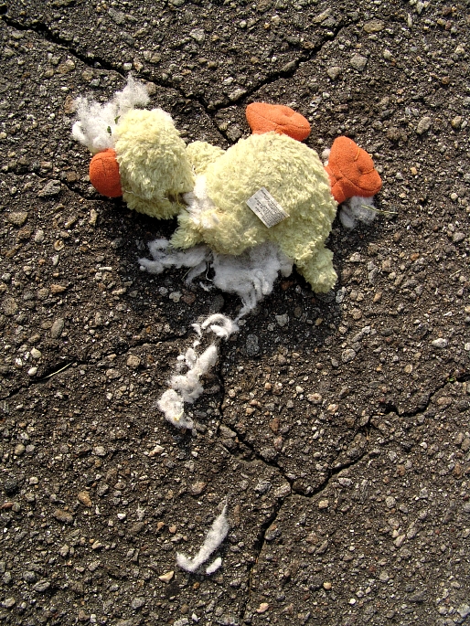 stuffed chicken roadkill