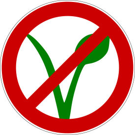 Schulkinder dürfen nicht vegan sein??